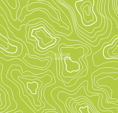 Линолеум Forbo Sarlon Graphic 19dB 928T4319 lime topography фото 1 | FLOORDEALER